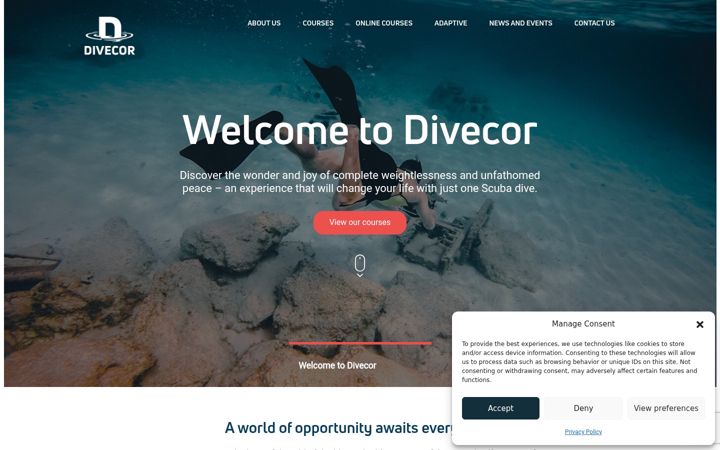 Zrzut ekranu divecor.co.uk