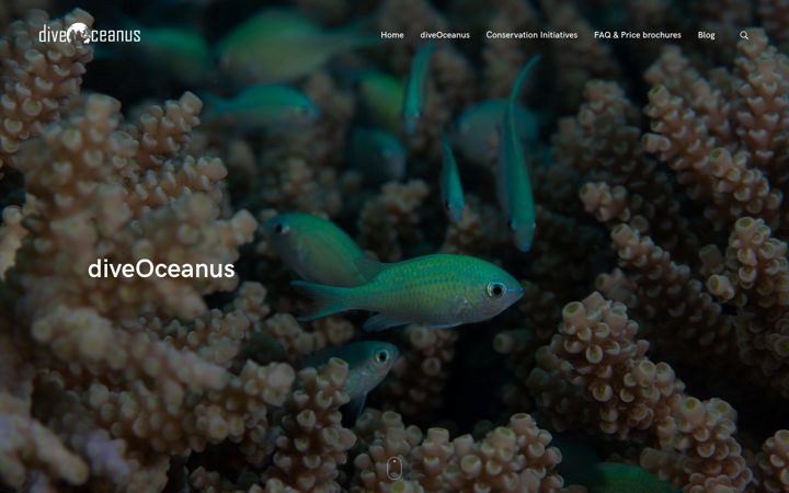Screenshot of diveoceanus.com
