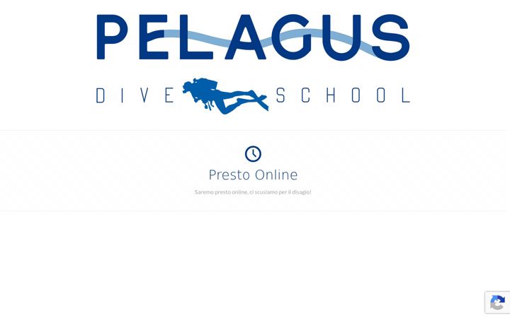 Screenshot of divepelagus.com