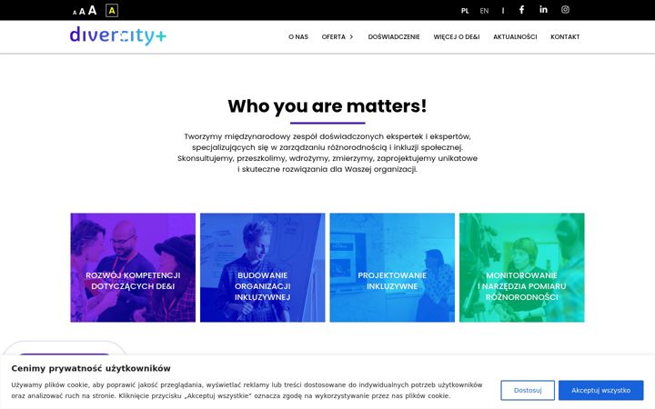 Screenshot of divercityplus.com