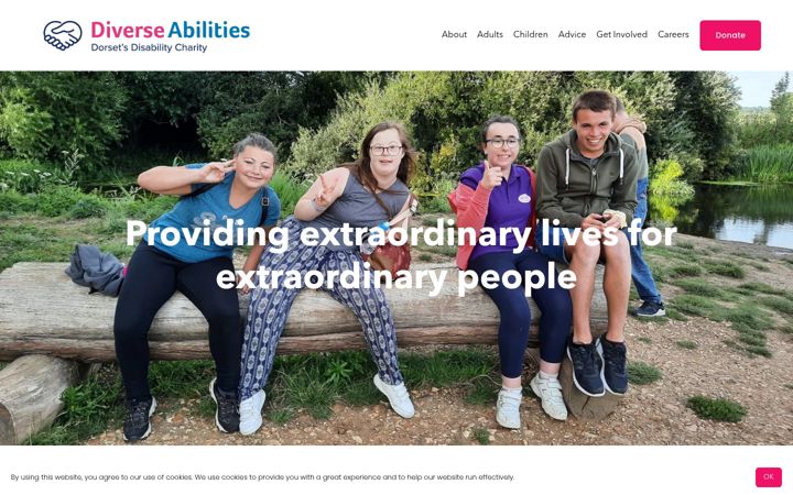 Zrzut ekranu diverseabilities.org.uk