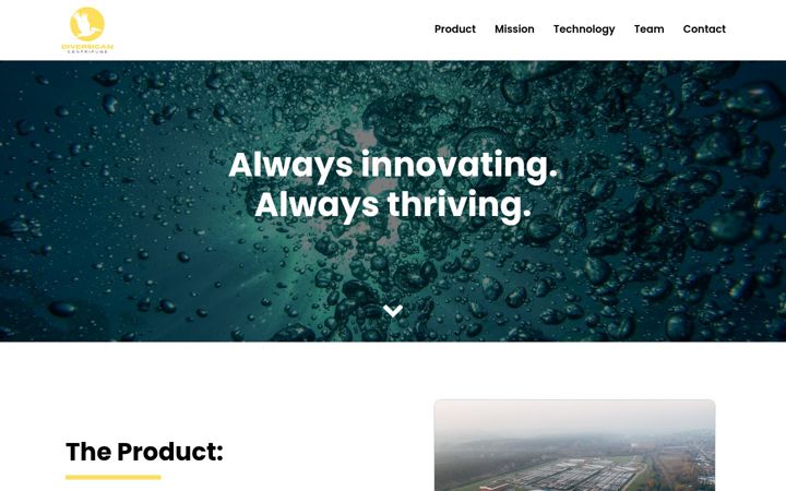 Screenshot of diversican.com