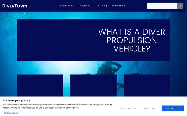 Screenshot of divertown.com
