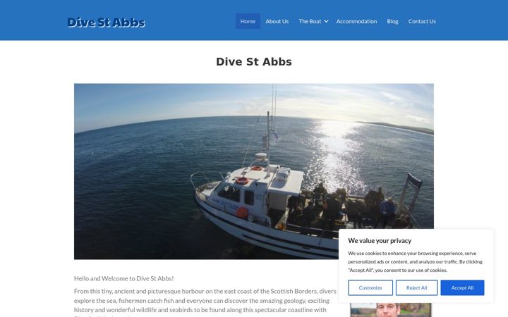 Screenshot of divestabbs.com