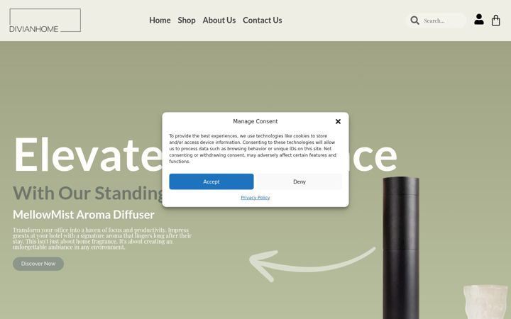 Screenshot of divianhome.com