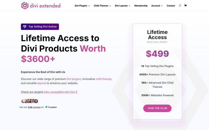 Screenshot of diviextended.com