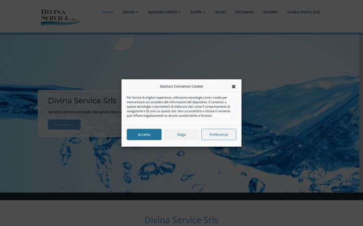 Screenshot of divinaservice.it