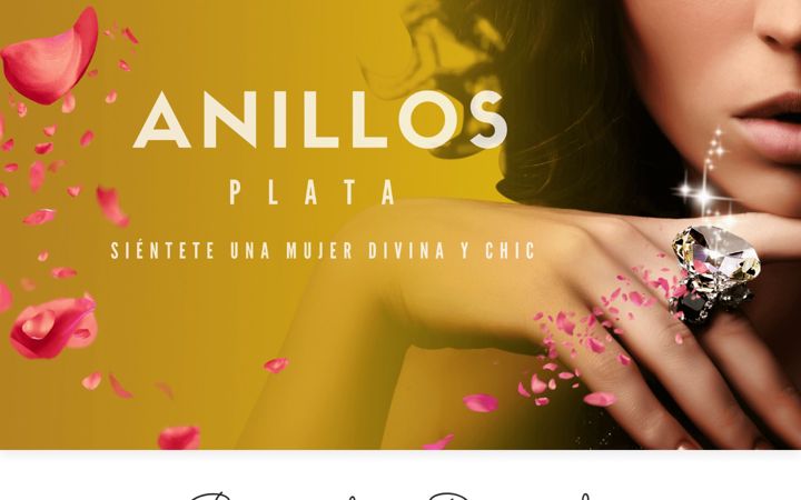 Screenshot of divinaychic.com