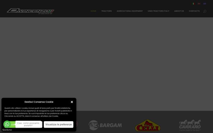 Screenshot of divincenzotractors.it