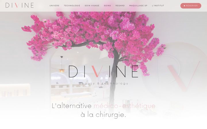 Captura de pantalla de divine-institut.fr