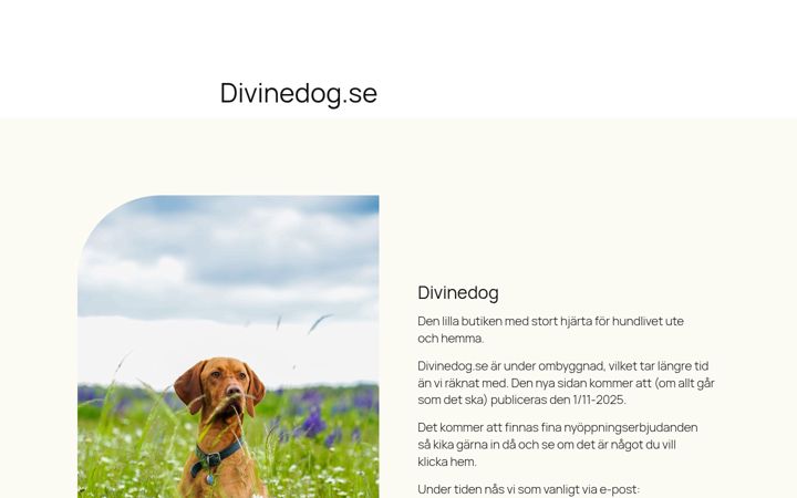Captura de ecrã de divinedog.se