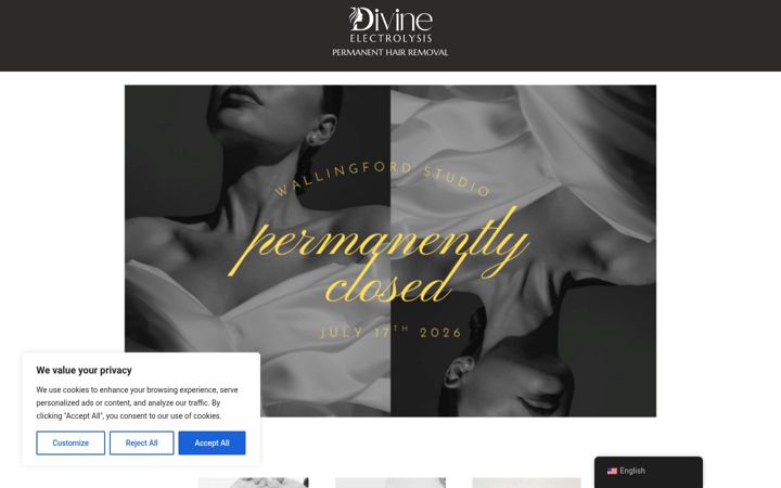 Screenshot of divineelectrology.com