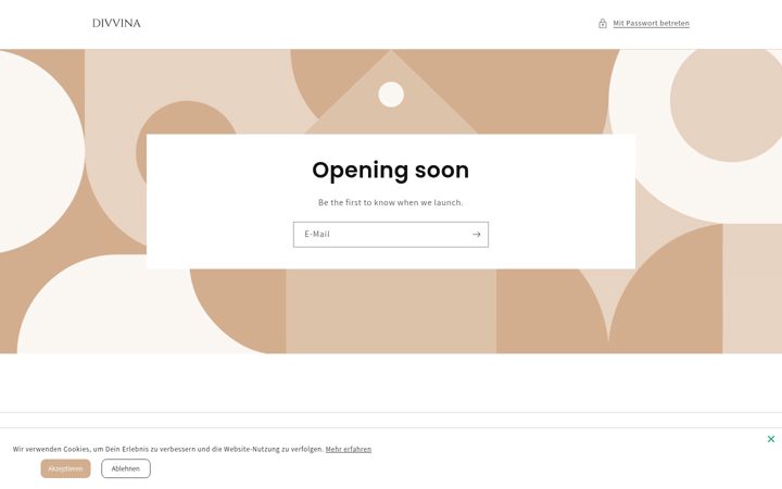 Screenshot of divvina.de