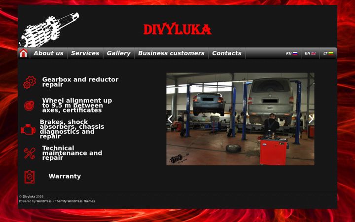 Screenshot ta' divyluka.lt