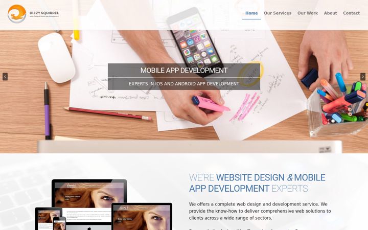 Screenshot of dizzysquirrel.com