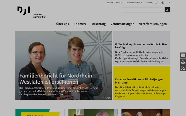 Screenshot of dji.de