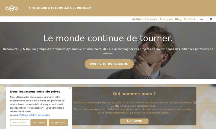 Screenshot of djidjogroupe.pro
