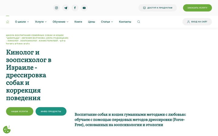 Screenshot of djilda.com