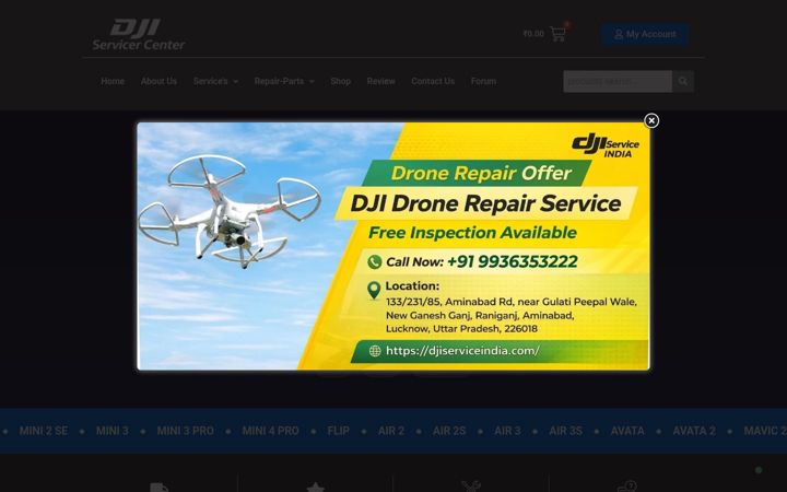 Screenshot of djiserviceindia.com