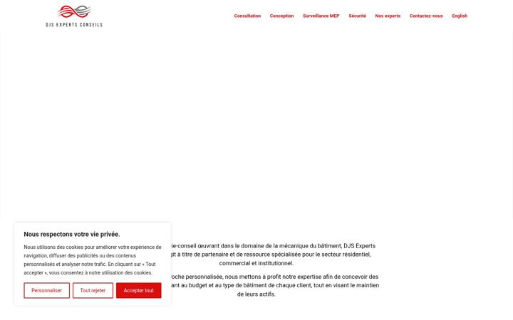 Screenshot of djsexpertsconseils.com