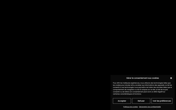 Captura de pantalla de djtst.fr
