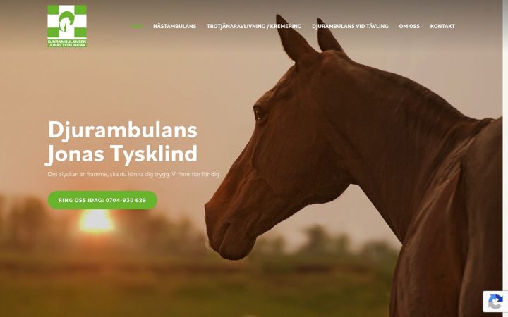 Screenshot of djurakut.com