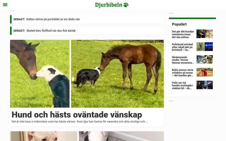 Snímek obrazovky djurbibeln.se