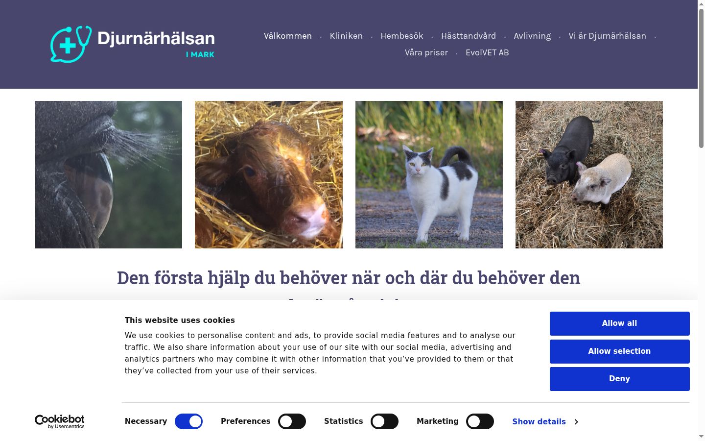 Snímek obrazovky baneru souhlasu zobrazeného před jakoukoli interakcí