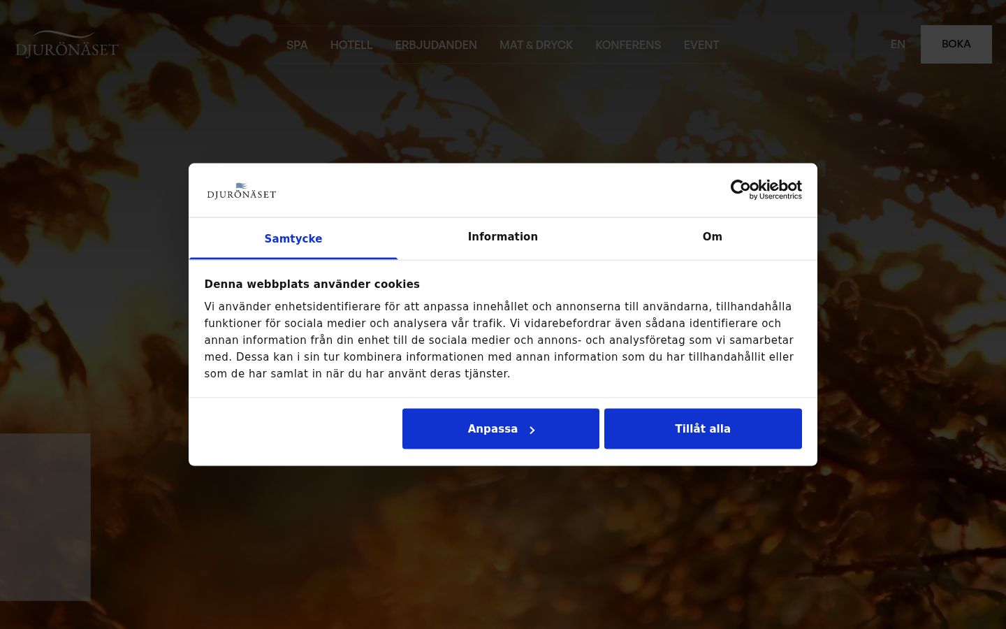 Snímek obrazovky baneru souhlasu zobrazeného před jakoukoli interakcí