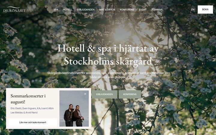 Screenshot of djuronaset.com