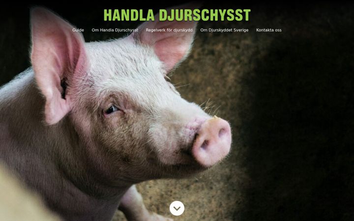 Snímek obrazovky djurschysst.se