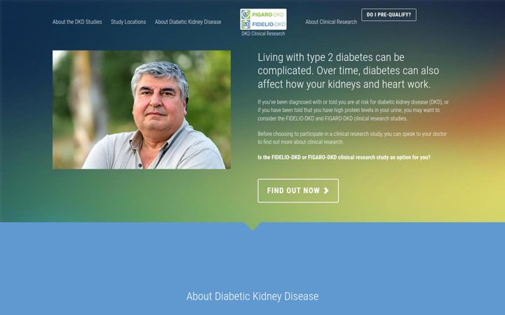 Screenshot of dkdstudies.com