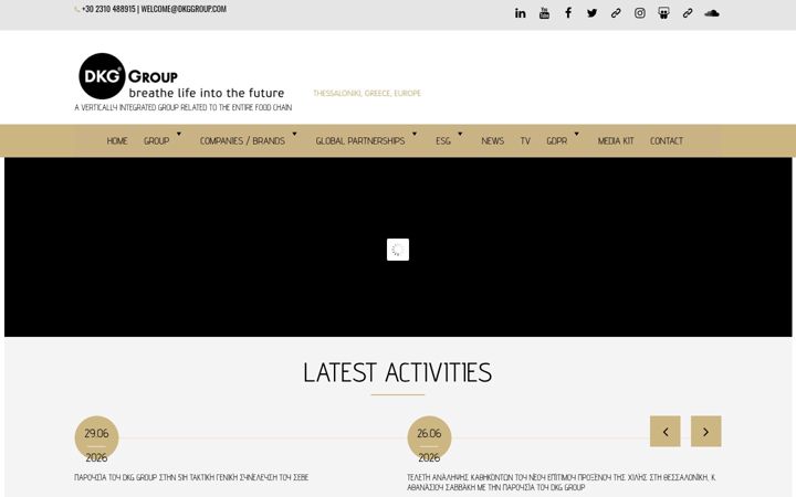 Screenshot of dkggroup.com