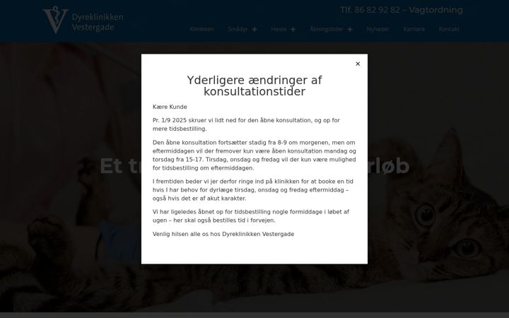 Captura de pantalla de dklv.dk