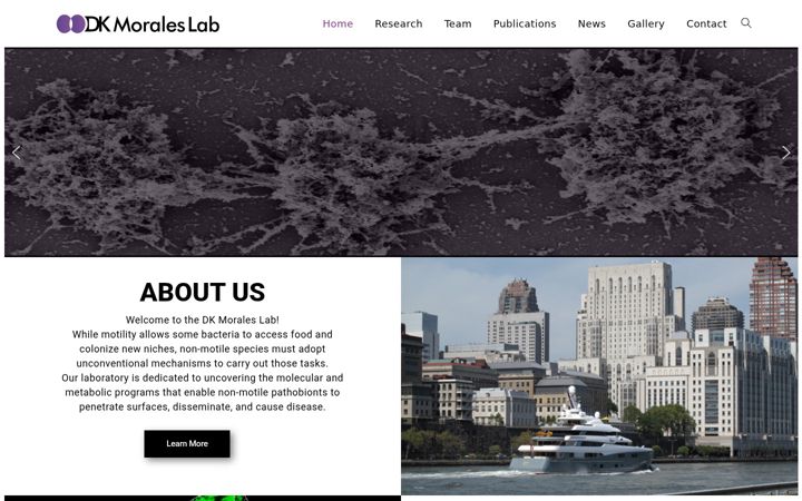Screenshot of dkmoraleslab.org