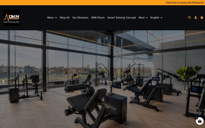 Screenshot of dkn-technology.com