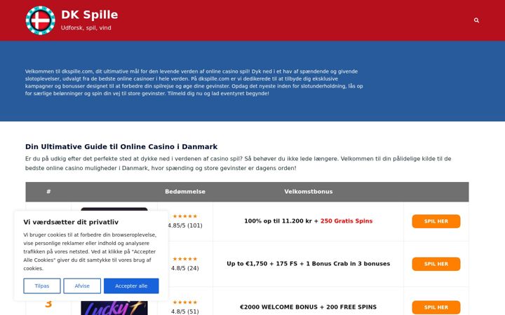 Screenshot of dkspille.com