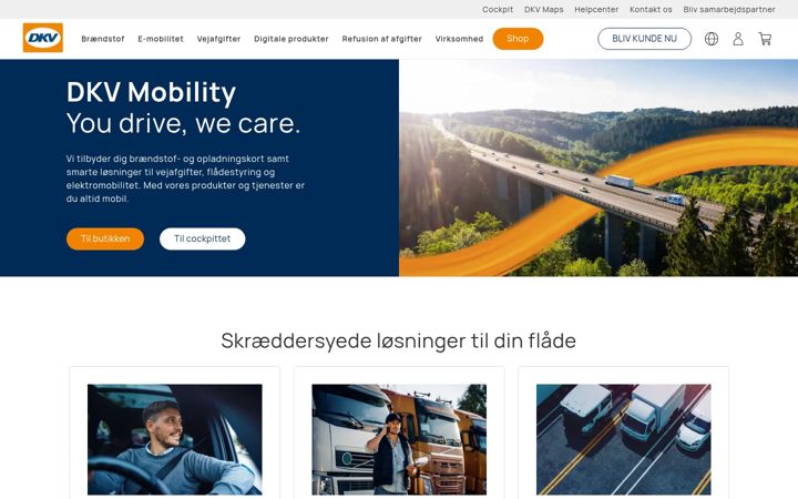 Screenshot of dkv-mobility.com
