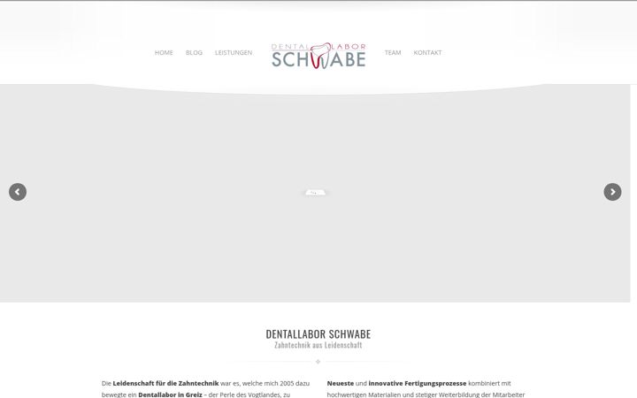 Screenshot of dl-schwabe.de