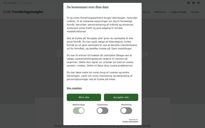 Captura de pantalla de dlbrforsikring.dk