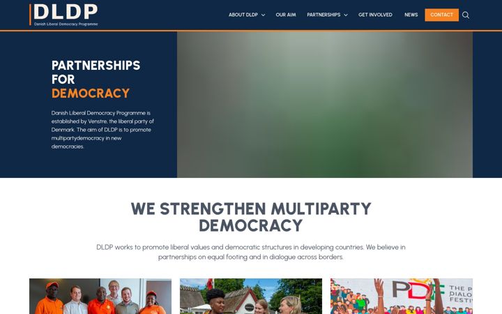 Screenshot of dldp.org