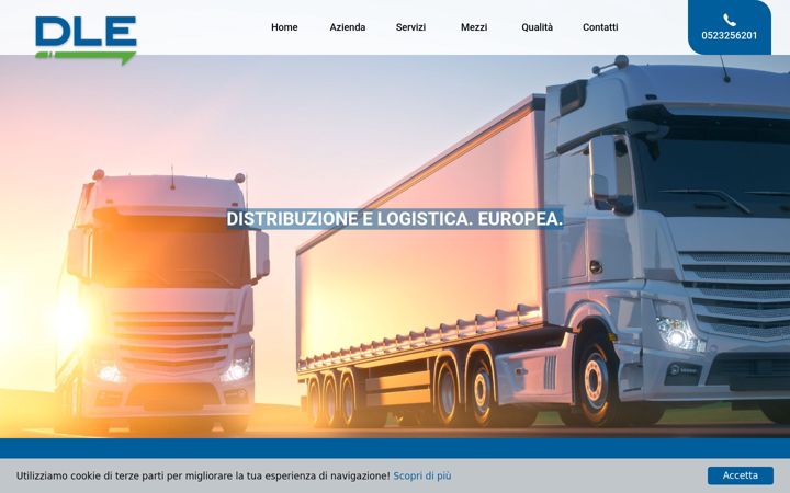 Screenshot of dlespedizioni.com