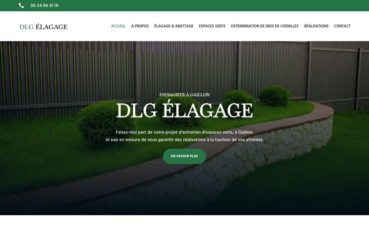 Captura de pantalla de dlg-elagage.fr