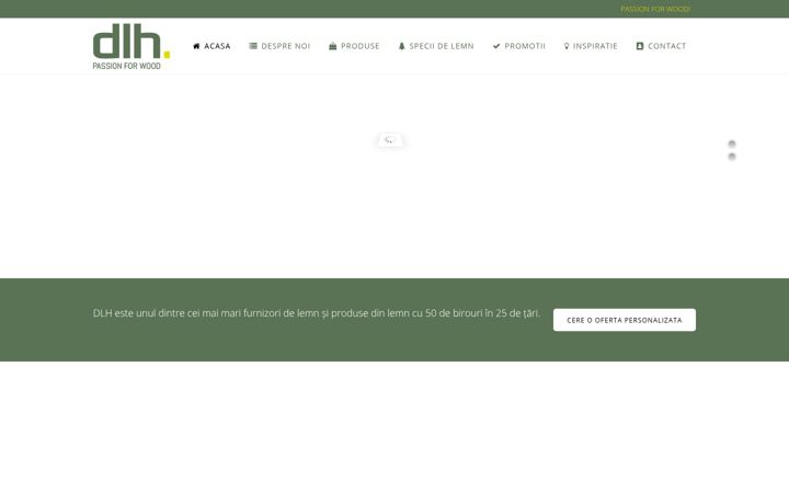 Screenshot of dlh-romania.ro