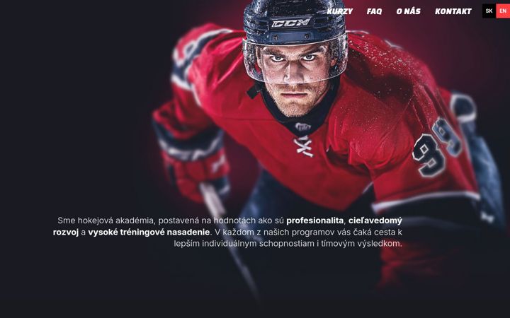 Zrzut ekranu dlhockey.com