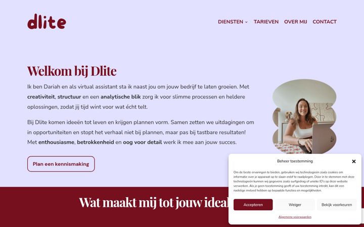 Screenshot of dlite-va.be