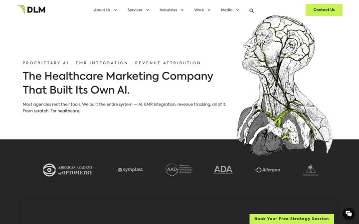 Screenshot of dlmconversion.com
