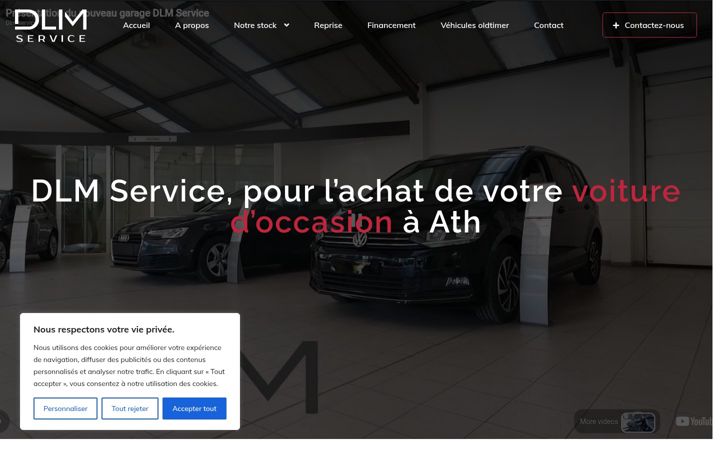Screenshot of dlmservice.be