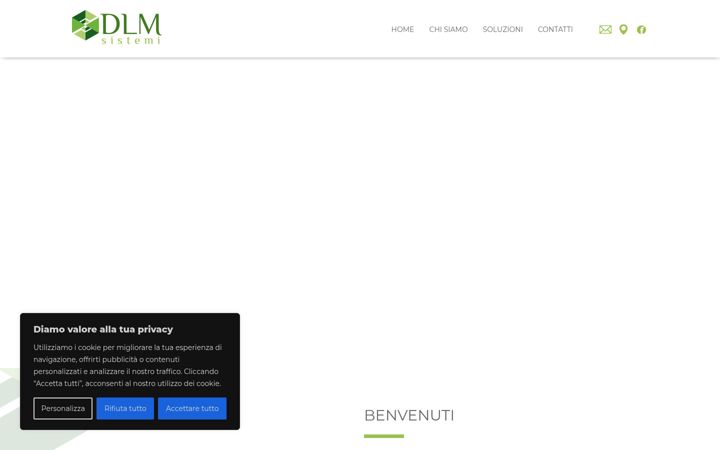 Screenshot of dlmsistemi.com
