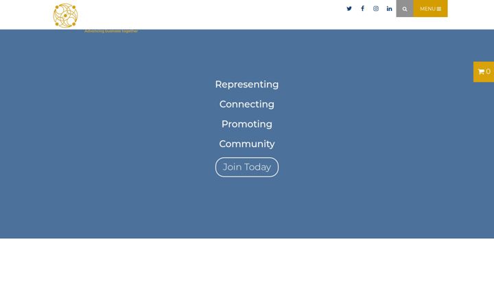 Screenshot ta' dlrchamber.ie